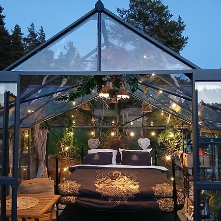 L'o Re Des Bois, Insolite Clair De Lune, Bain Norvegien, Sauna, Kota Laussonne