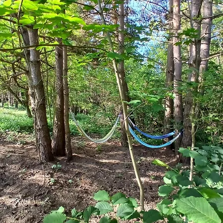 L'ô Ré Des Bois, Insolite Clair De Lune, Bain Norvégien, Sauna, Kota Campismo de Luxo Laussonne