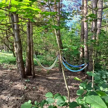 L'o Re Des Bois, Insolite Clair De Lune, Bain Norvegien, Sauna, Kota Luxury tent Laussonne
