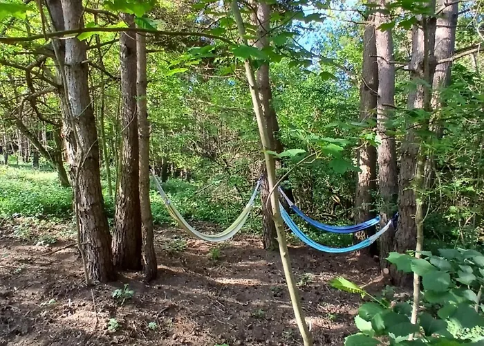 L'o Re Des Bois, Insolite Clair De Lune, Bain Norvegien, Sauna, Kota Luxusní stan Laussonne